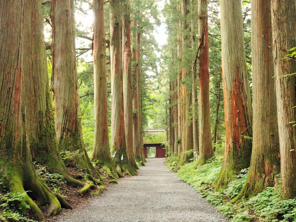 Hotel Tsubakino Yamanouchi  Esterno foto